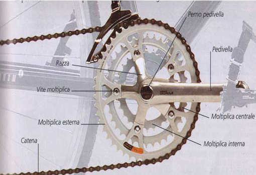 bicicletta componenti trasmissione