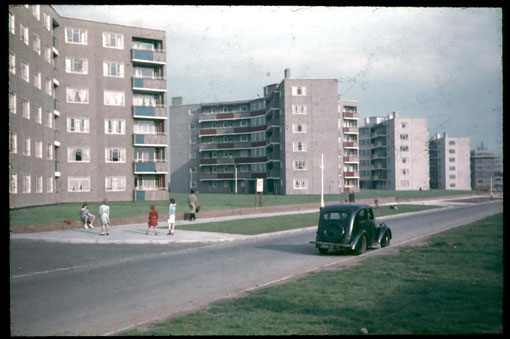 Flats on Hollybank Road 1955 - Photo by D J Norton - see Acknowledgements.