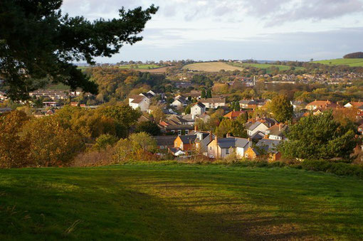 Rednal Hill, looking down to Rubery. © Copyright Phil Champion and licensed for reuse under Creative Commons Licence: Attribution-Share Alike 2.0 Generic. Geograph OS reference SO9976. See Acknowledgements for a direct link to the Geograph website.
