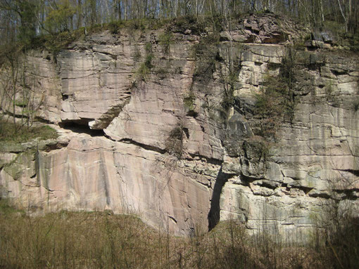 Aufgelassener Steinbruch (Porphyr-Tuff) im Zeisigwald in Chemnitz