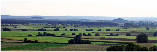 Rieskrater von Wemding aus gesehen, mit Blick in Richtung Westen.               (Bild: eigene Aufnahme)