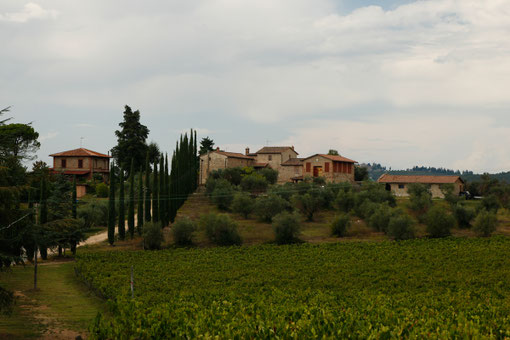 Road trip Tuscany, advice and sights