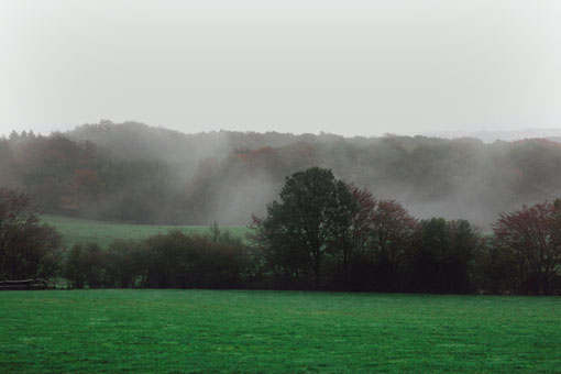 Depressionen in der Coronazeit, Grenzschließungen, Zwangstrennungen