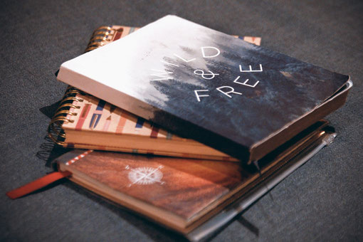 Ein Buch schreiben, Recherche, Reisetagebuch