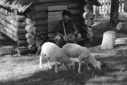 ferme bashkir cosaque john c autonomie cheptel mouton tradition