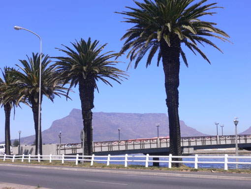 Bild: Blick vom Sunset Beach auf den Tafelberg
