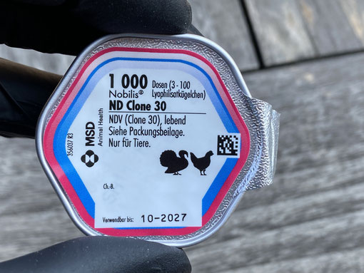 Lebend Impfstoff gegen die Newcastle Krankheit beim Geflügel