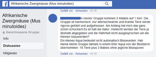 Kommentar in einer Facebook-Gruppe