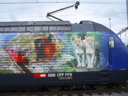 IR 775 in Sargans am 07. Juni 2008