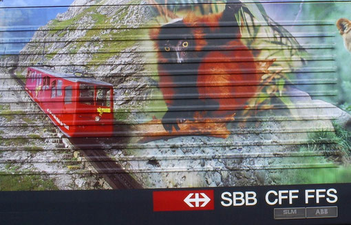 IR 775 in Sargans am 07. Juni 2008