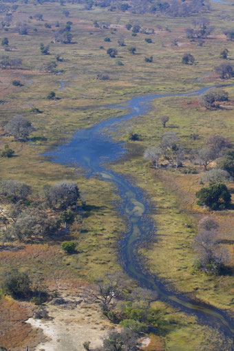 Scénic Fly, Delta Okavango