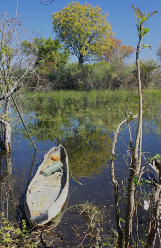 Mokoro dans le Delta de l' Okavango