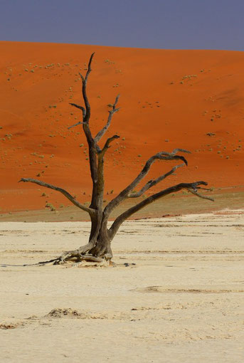 Deadvlei