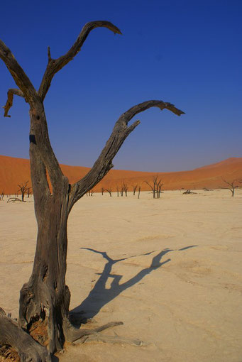 Deadvlei