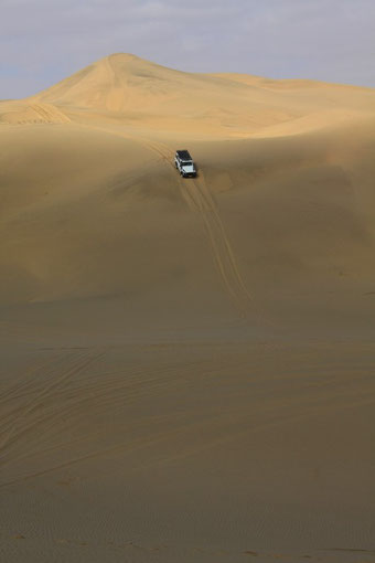 Excursion 4 X 4 à Sandwich Harbour