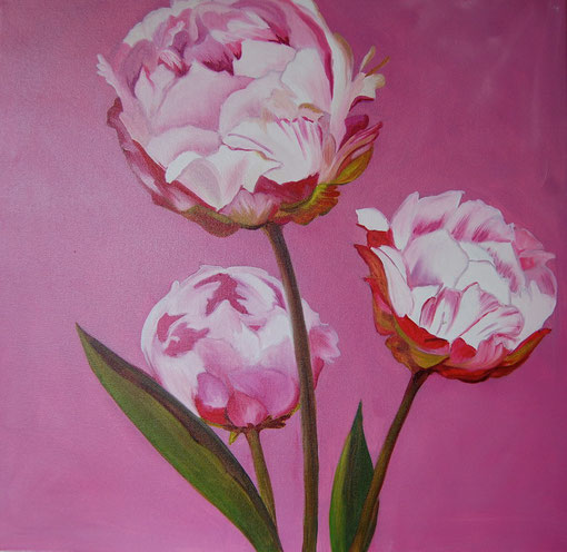 Pivoines roses, huile sur toile 50 x 50, 2010