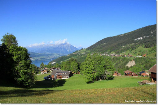 Auch am 5.6.2010 geniessen wir wieder herrliches Wetter