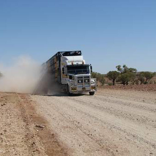 Ein 53m langer Road Train kommt uns entgegen