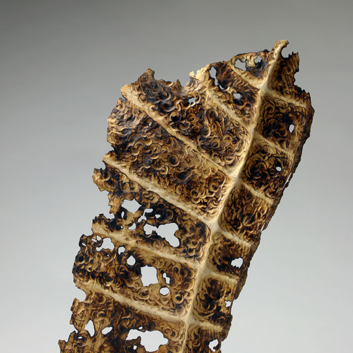 Echelle de Jacob