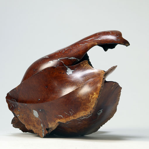 Chimère 38