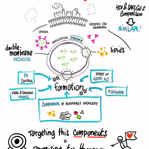 2nd Cell Biology of Coronaviruses Meeting - SBCF - 2022