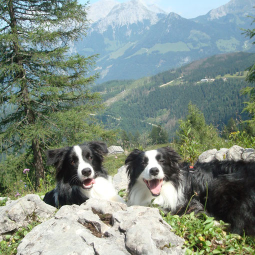 Felix und Zoe  (Copyright b. J. Rookes)