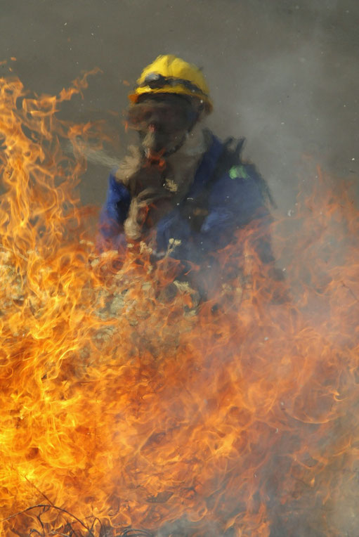 Waldbrände in Südafrika