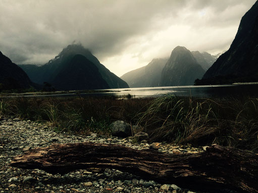 Should i do the cruise, Milford Sound