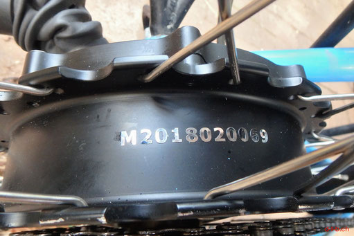 Bild: Hintermotor von Electroride