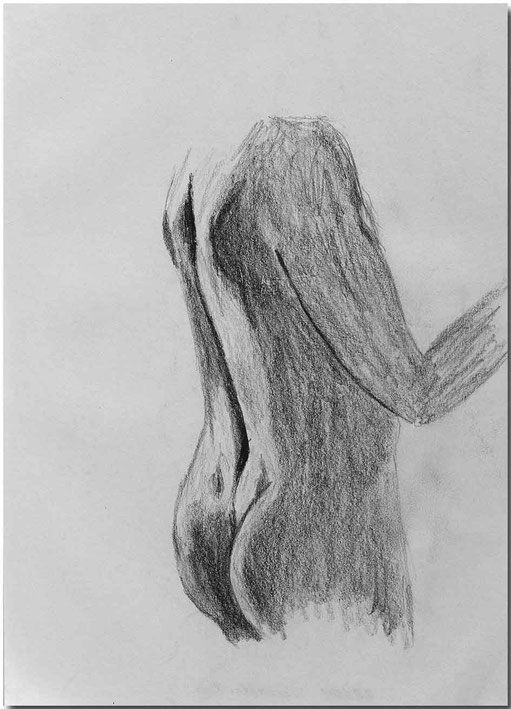 Bild:Torsostudie,Bleistift,Skizze,Mann,David Brandenberger,d-t-b.ch,d-t-b,