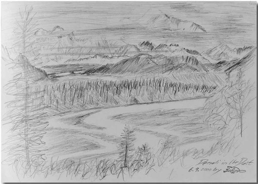 Bild:Denali,Dust,Nebel,Alaska,USA,Bleistift,Skizze,Landschaft,Fluss,David Brandenberger,d-t-b.ch,d-t-b,