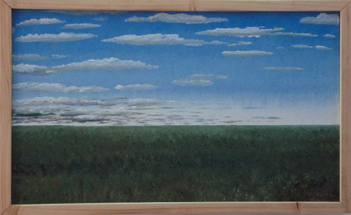 Bild:Pampa,Argentinien,Südamerika,Trilogie,Triptichon,Wolken,Büsche,Grün,Blau,d-t-b.ch,d-t-b,David Brandenberger,Biber,dave the beaver,Ölbild,Malerei,Ölfarbe,