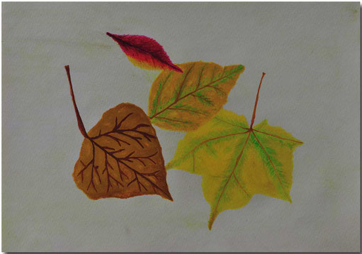 Bild:Herbst,Blätter,Schule,Wasserfarbe,David Brandenberger,d-t-b.ch,d-t-b,