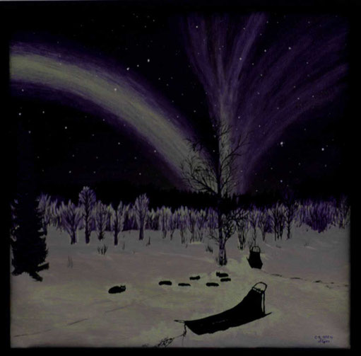 Bild:Nachtruhe,Nordlicht,Tannen,Wald,Hundeschlitten,Dogsled,Aurora,Ölbild,Oilpainting,Nacht,Schnee,Schweden,Lappland,d-t-b.ch,David Brandenberger,Biber,