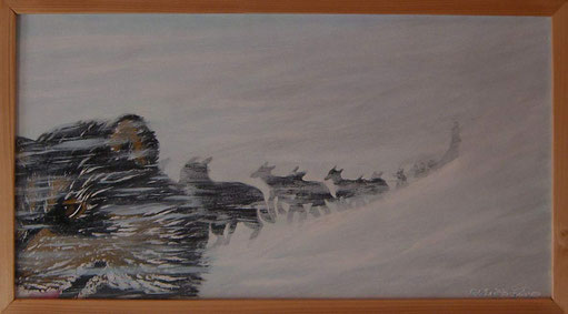 Bild:Mush,Husky,Hund,Schlitten.Schnee,Sturm,Lappland,Schweden,Whiteout,Musher,d-t-b.ch,d-t-b,David Brandenberger,Biber,dave the beaver,Ölbild,Malerei,Ölfarbe,