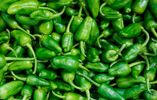Pimientos de Padrón. Fuente: El Huerto Urbano