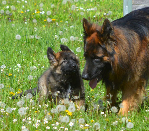 Morena und Rico