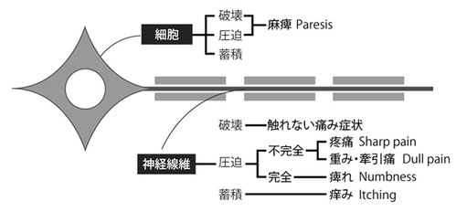 神経障害の治療 - 痛みとしびれの治療｜ペレス・テラキ治療室｜遠絡療法 東京・埼玉｜