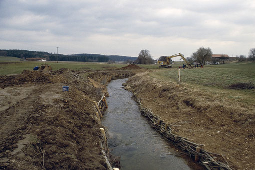 Weidenflechtwerk - rechts mit angelegter Berme für Ufergehölze