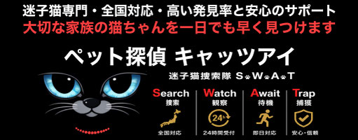 ペット探偵キャッツアイ|迷子猫捜索隊 S.W.A.T|大阪|【迷子猫捜索のプロ】【即日対応】