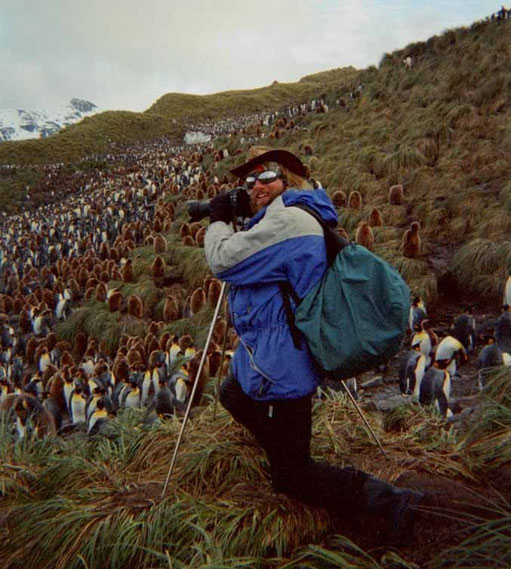 Photo:Biography. David Brandenberger in South Georgia photographing penguins.