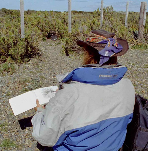 David Brandenberger in Cabo Virgenes, Argentinien, Südamerika mit Skizzenbuch