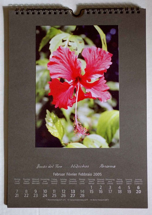 Bild: Blatt,Kalender