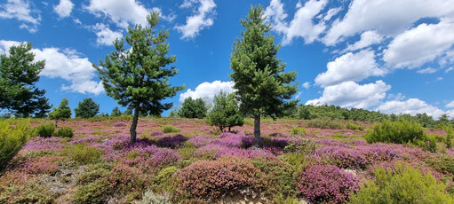 Wunderschöne Bergwelt