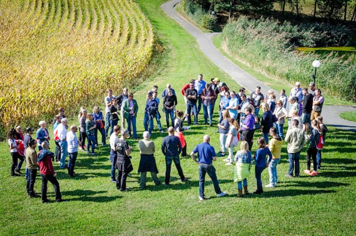 NATURESPONSE® ANTWORTEN DER NATUR