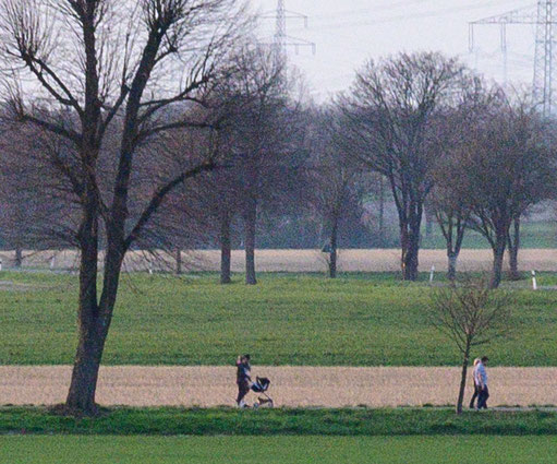 100%-Crop, Landschaftsaufnahme, NIKON Z 7, AF-S 28-70mm 1:2,8D ED bei 70mm. Foto: bonnescape.de