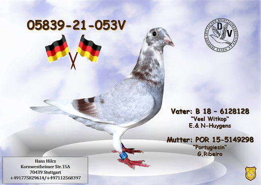 Preis: Vogel 30.-€