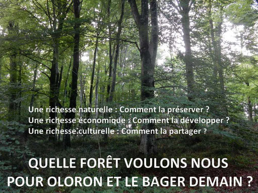  Quelle Forêt voulons-nous pour Oloron 2022-2041- Question aux élus, ONF et population par ACCOB