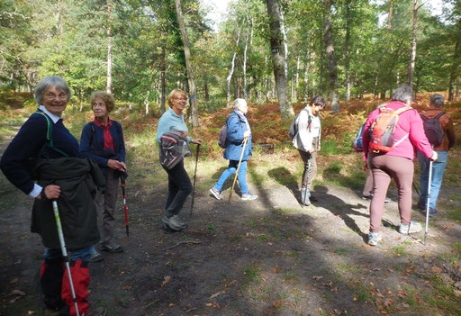 C'est parti pour 2 heures 30 d'escapade en forêt