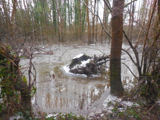 La Seine est passée sur la route et les jardins côté ville